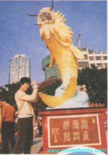 2003 02 013